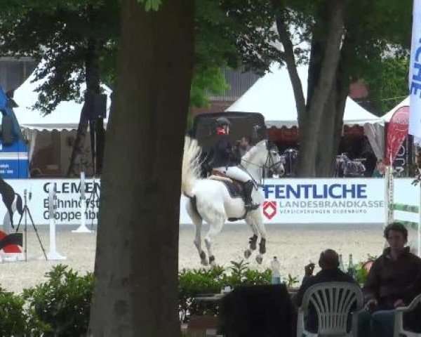 Weser Ems Meisterschaften Cloppenburg 2012