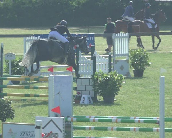 Reitturnier Pennigbüttel 2024