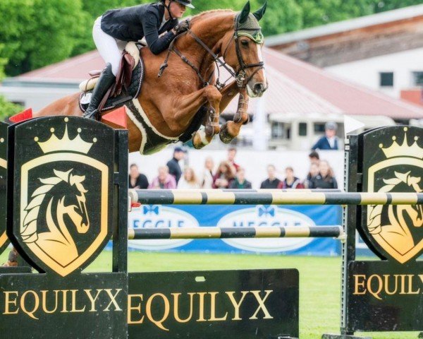 jumper Valentina 90 (Hanoverian, 2011, from Valentino)