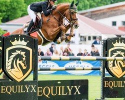 jumper Valentina 90 (Hanoverian, 2011, from Valentino)