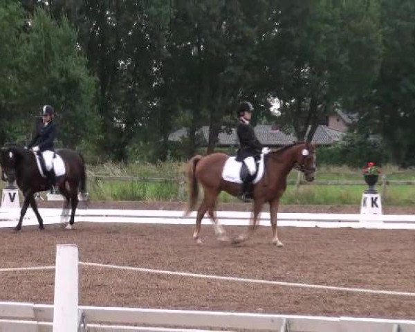 Weser Ems Meisterschaften Cloppenburg 2012