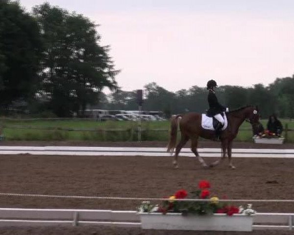 Weser Ems Meisterschaften Cloppenburg 2012