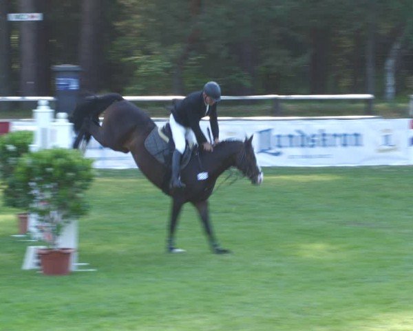 Reitturnier Cottbus-Sielow 2024