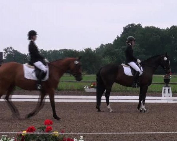 Weser Ems Meisterschaften Cloppenburg 2012