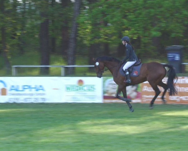 Reitturnier Cottbus-Sielow 2024