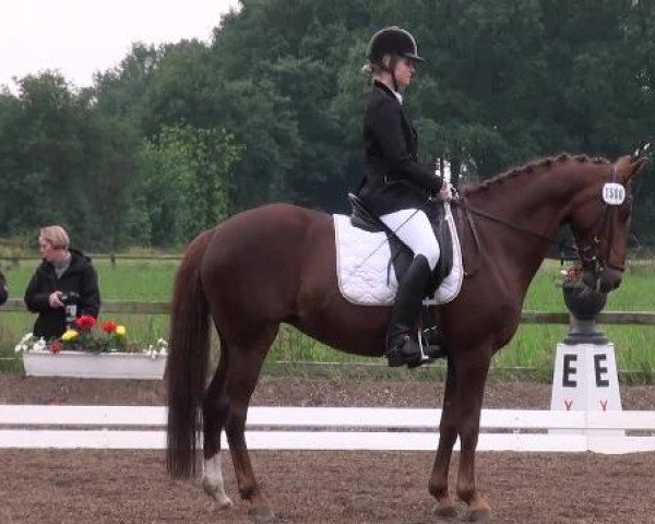 Weser Ems Meisterschaften Cloppenburg 2012