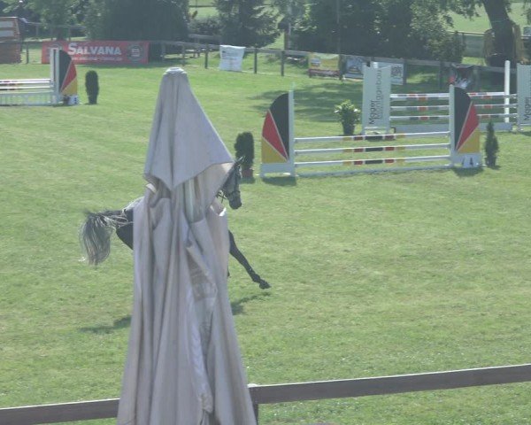 Reitturnier Pennigbüttel 2024