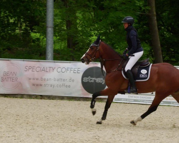Reitturnier Karlsfeld/Obb. 2024