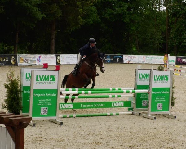 Reitturnier Karlsfeld/Obb. 2024