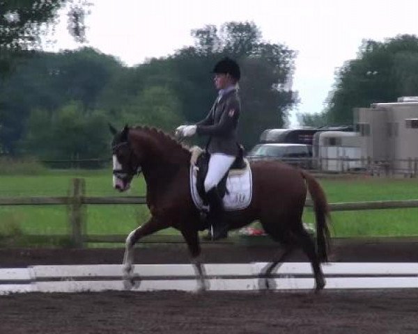 Weser Ems Meisterschaften Cloppenburg 2012