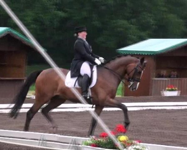 Weser Ems Meisterschaften Cloppenburg 2012