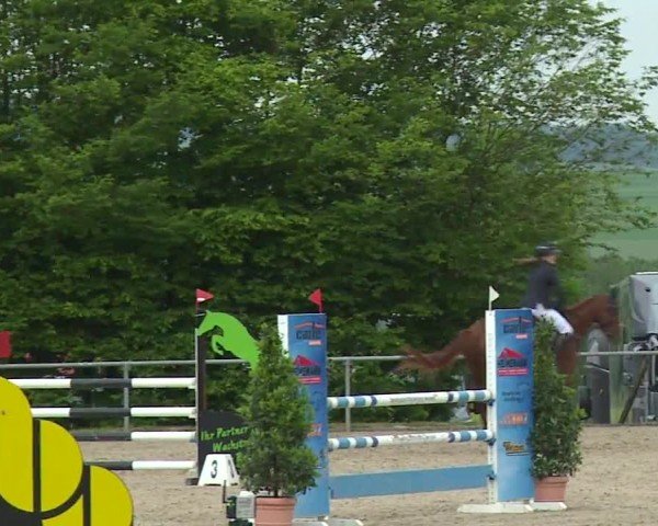Reitturnier Landenhausen 2024