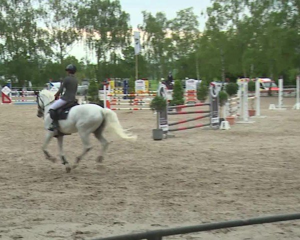 Reitturnier Landenhausen 2024