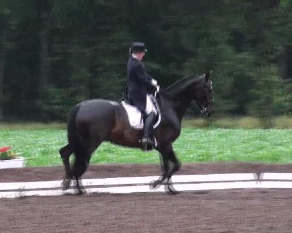 Weser Ems Meisterschaften Cloppenburg 2012