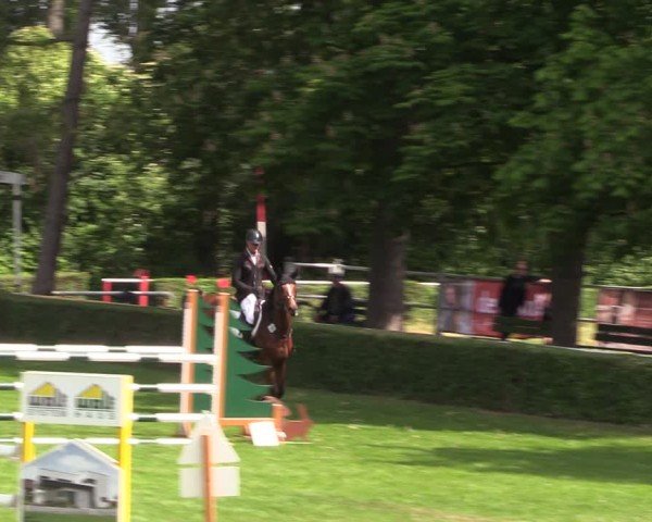 Reitturnier Westeregeln 2024