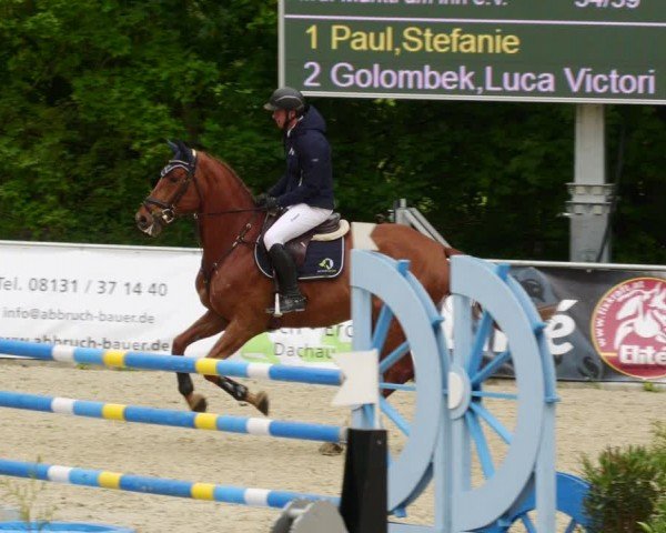 Reitturnier Karlsfeld/Obb. 2024
