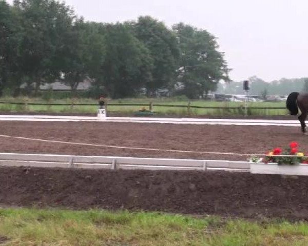 Weser Ems Meisterschaften Cloppenburg 2012
