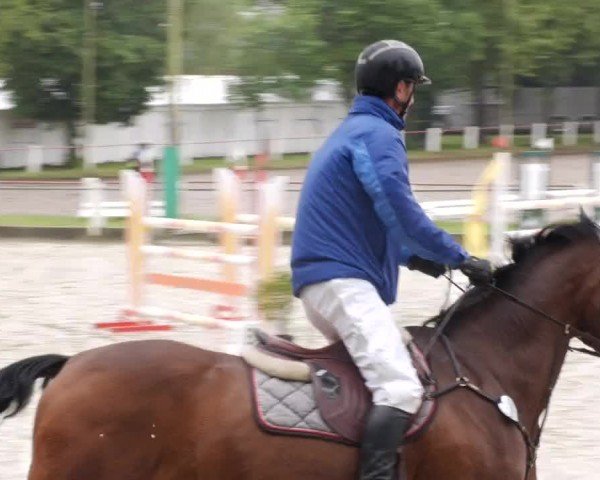 Reitturnier Forst 2024