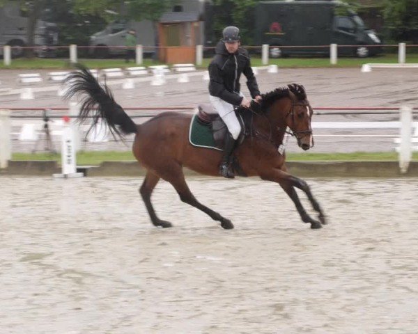 Reitturnier Forst 2024