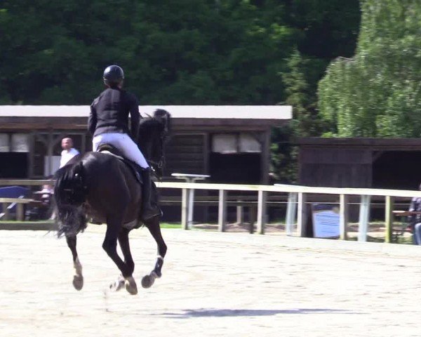 Reitturnier Kropp 2024