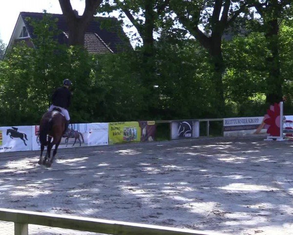 Reitturnier Kropp 2024