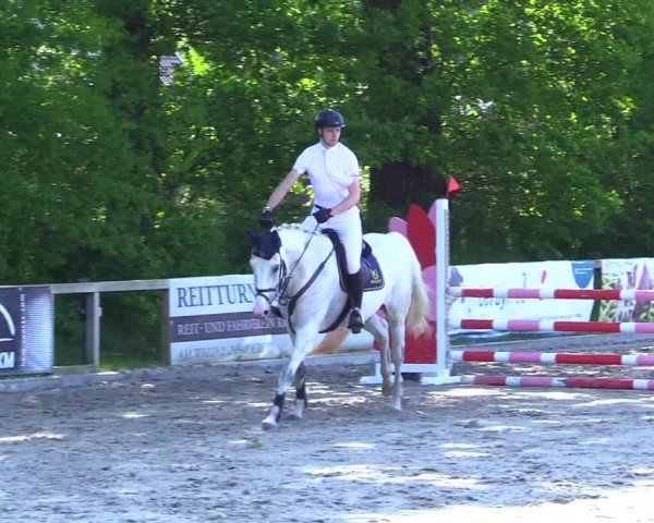 Reitturnier Kropp 2024