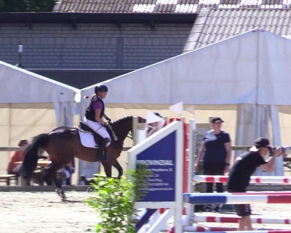 Reitturnier Kropp 2024