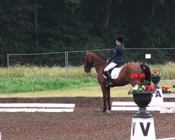 Weser Ems Meisterschaften Cloppenburg 2012