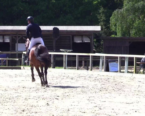Reitturnier Kropp 2024