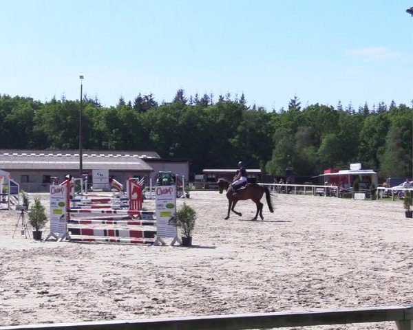 Reitturnier Kropp 2024
