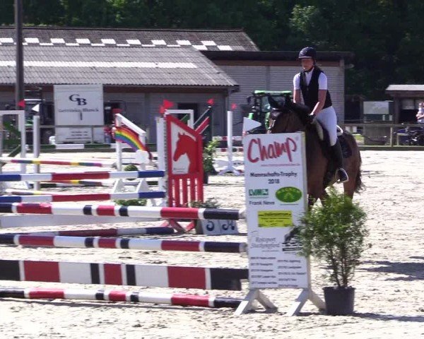 Reitturnier Kropp 2024