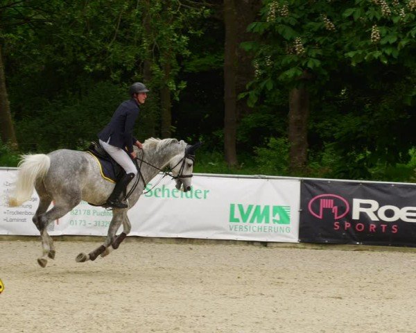 Reitturnier Karlsfeld/Obb. 2024