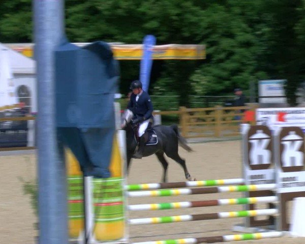 Reitturnier Borken 2024