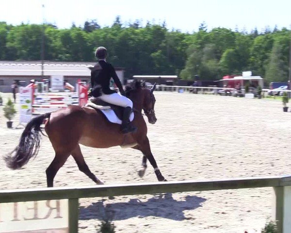 Reitturnier Kropp 2024