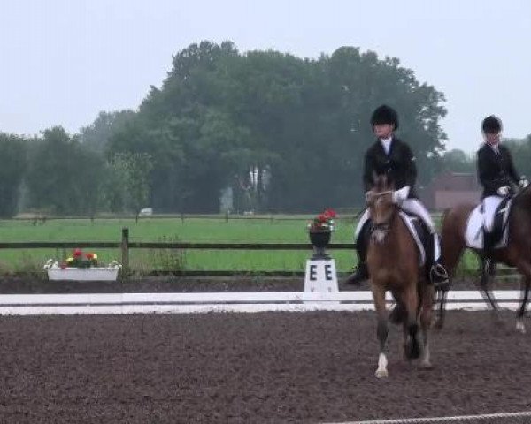 Weser Ems Meisterschaften Cloppenburg 2012