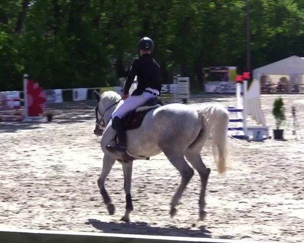 Reitturnier Kropp 2024