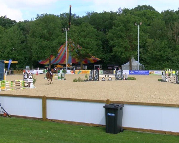 Reitturnier Borken 2024