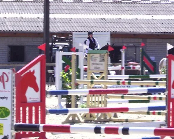 Reitturnier Kropp 2024