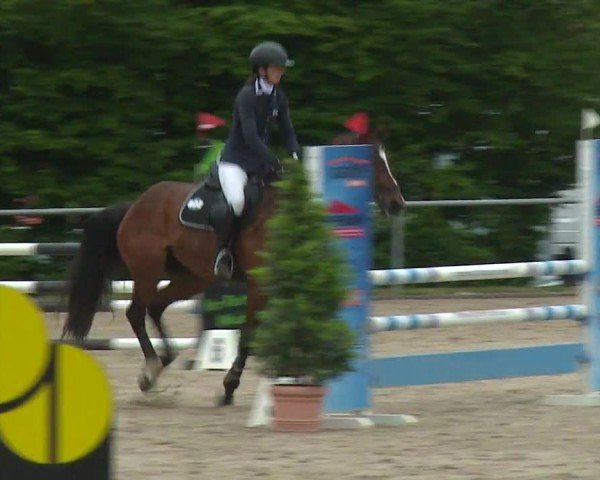 Reitturnier Landenhausen 2024