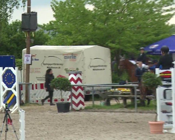 Reitturnier Landenhausen 2024