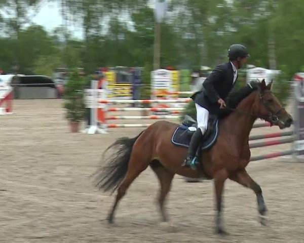 Reitturnier Landenhausen 2024