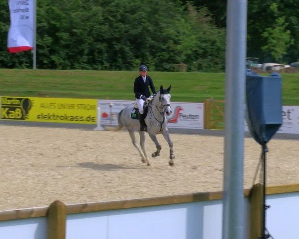 Reitturnier Borken 2024