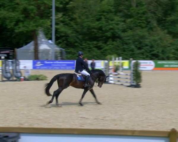 Reitturnier Borken 2024