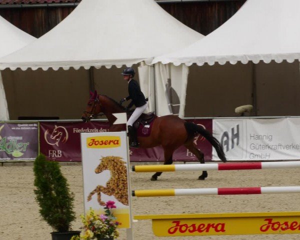 Reitturnier Karlsfeld/Obb. 2024
