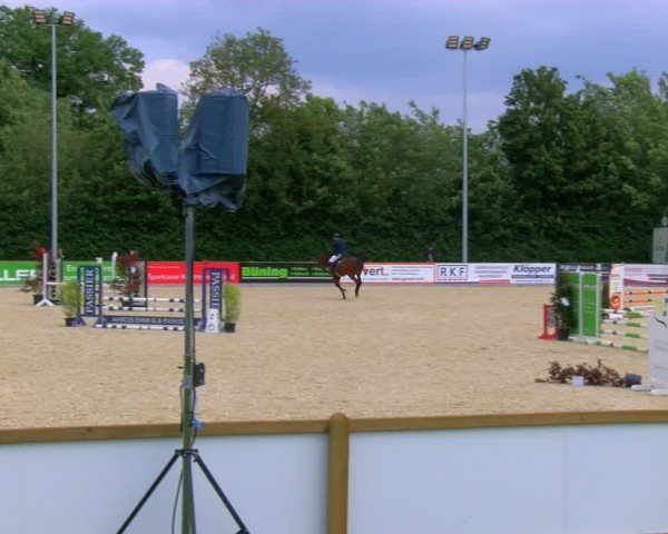 Reitturnier Borken 2024