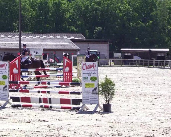 Reitturnier Kropp 2024