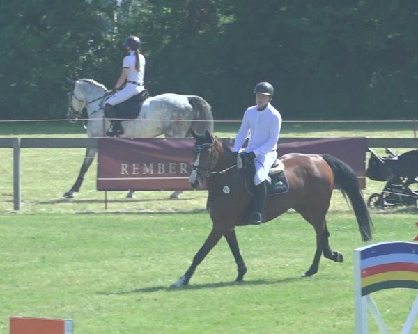 Reitturnier Pennigbüttel 2024