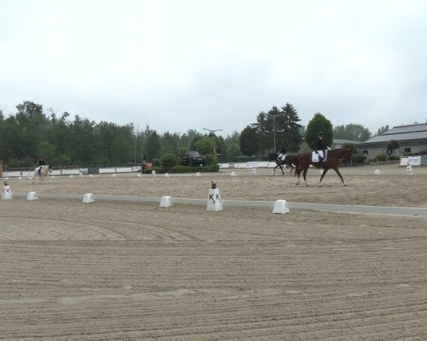 Reitturnier Frechen-Grefrath - Sonnenhof 2024