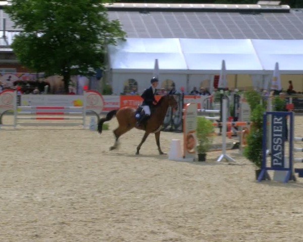 Reitturnier Borken 2024