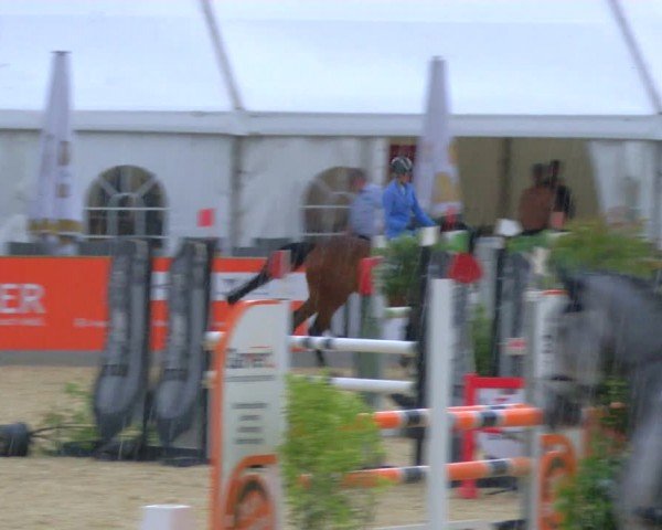 Reitturnier Borken 2024